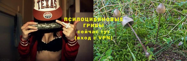 шишки Лиски