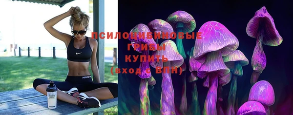 гашик Абаза
