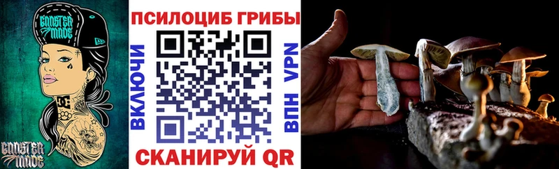 продажа наркотиков  Руза  Псилоцибиновые грибы GOLDEN TEACHER 